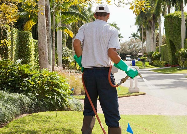About Rosebud MO Pest Control
